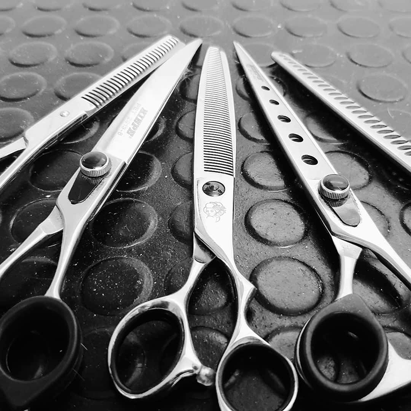 Corsi di Toelettatura