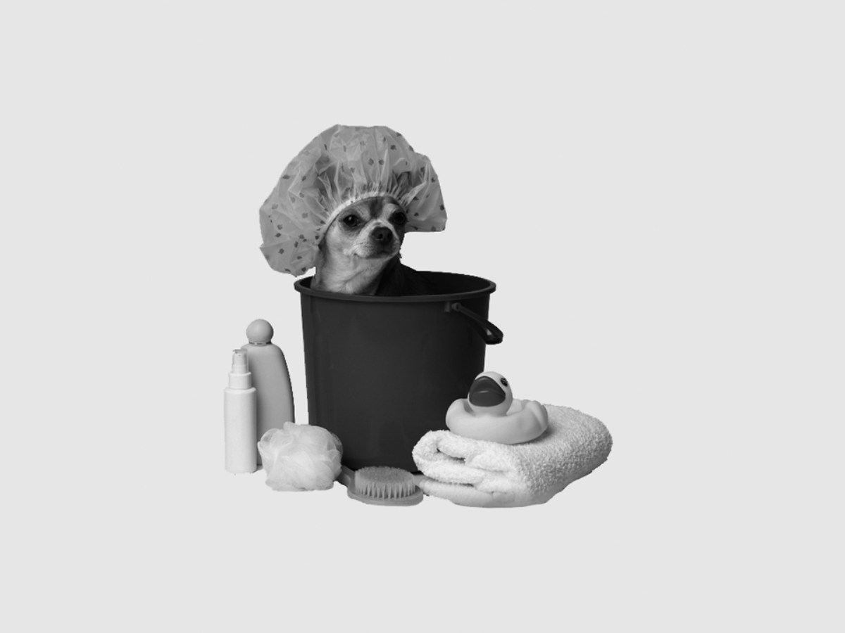 Shampoo Terapia